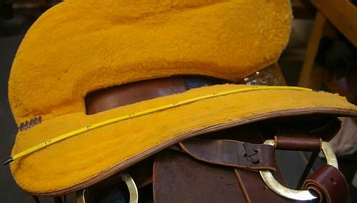 Saddle Fit How-To Guide -