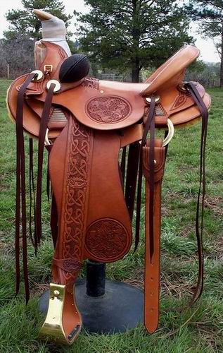 TH 3B Visalia Saddle