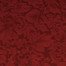 Cowboy Images Red Jacquard