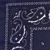 Wyoming Trader Navy Bandana