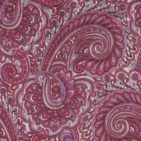 Wyoming Trader Paisley Raspberry White