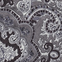 Wyoming Trader Paisley Silver Black