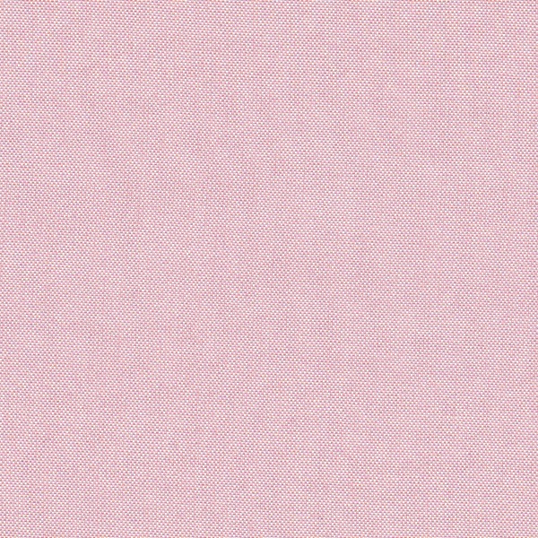 Cattle Kate Light Pink 100% Silk Scarf Cattle Kate Light Pink 100% Silk Scarf
