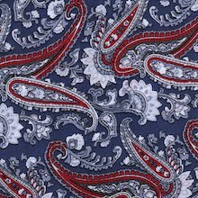 Cowboy Images Red White Blue Paisley