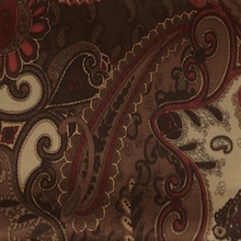 Cowboy Images Cocoa Loco Paisley