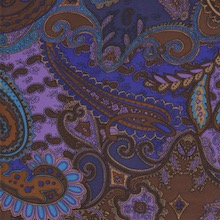 Cowboy Images Blue Brown Paisley