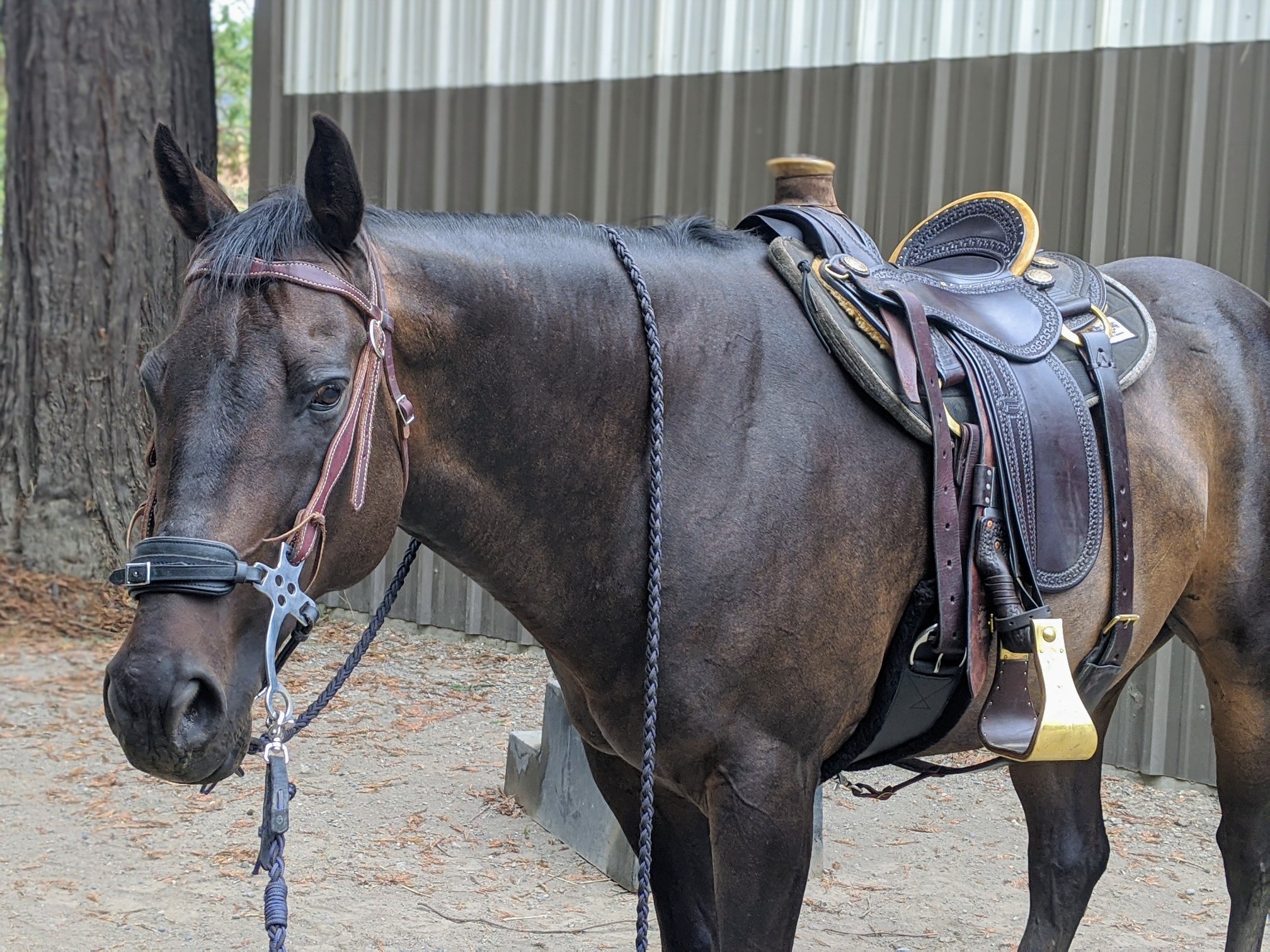 Out West Saddlery Stock Saddle