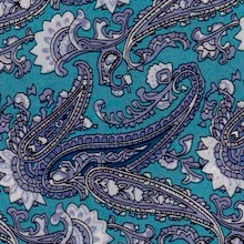 Cowboy Images Turquoise Paisley