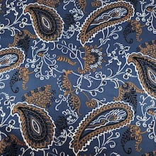 Traditional Paisley Denim