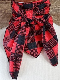 Plaid Red